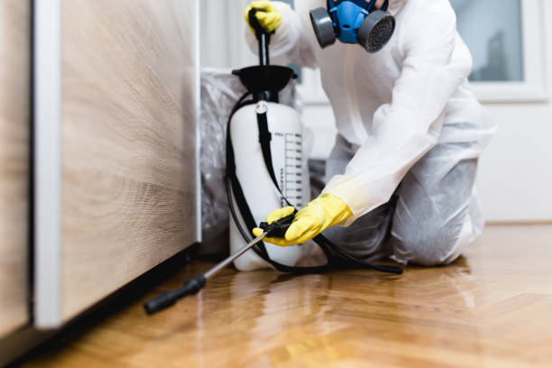 Best Affordable Pest Control Services  in Sabina, OH
