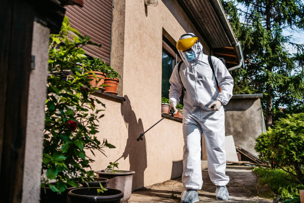 Pest Prevention Services in Sabina, OH