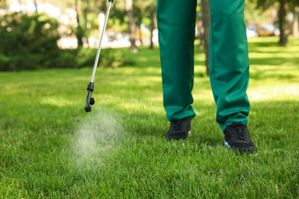 Best Affordable Pest Control Services  in Sabina, OH