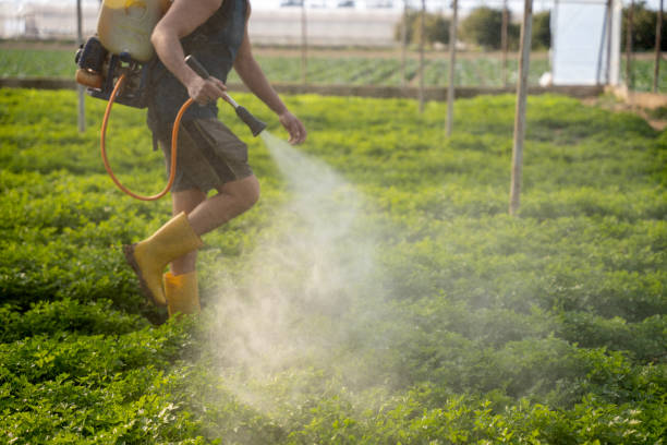 Pest Control for Restaurants in Sabina, OH