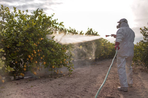 Best Pest Prevention Services  in Sabina, OH