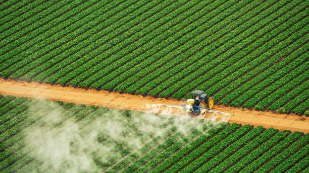Best Ant Control Services  in Sabina, OH