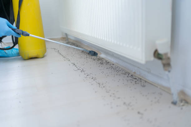Best Cockroach Control Services  in Sabina, OH