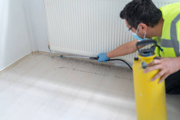 Best Bed Bug Extermination  in Sabina, OH